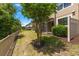 Backyard of home featuring mature landscaping, well-maintained lawn, and privacy fence at 11442 Crowned Sparrow Ln, Tampa, FL 33626