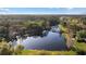 Picturesque aerial view showcasing a community lake with a bridge, enveloped by a dense, mature forest at 11906 Middlebury Dr, Tampa, FL 33626