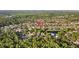 An aerial view featuring a neighborhood, mature trees, a lake and lush landscaping at 11906 Middlebury Dr, Tampa, FL 33626