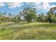 Lush backyard featuring a tranquil pond, verdant grass, and mature trees at 1226 Debuel Rd, Lutz, FL 33549