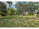 Expansive grassy backyard with mature trees provides ample space and shade at 1226 Debuel Rd, Lutz, FL 33549