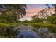 Scenic view of a tranquil pond covered with lily pads and surrounded by lush greenery at 1226 Debuel Rd, Lutz, FL 33549