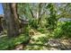 A lush backyard oasis featuring mature trees, a bird bath, stone paver walkway and screened-in patio area at 1816 Curry Rd, Lutz, FL 33549