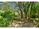 Lush backyard with mature trees and manicured landscaping, creating a private outdoor space at 1816 Curry Rd, Lutz, FL 33549