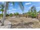 Spacious backyard featuring a wood fence, palm trees, and decorative rock landscaping at 221 Lakeway Ln, Apollo Beach, FL 33572
