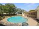 Inviting backyard pool with lush greenery, offering a private outdoor oasis for relaxation and recreation at 2964 Catherine Dr, Clearwater, FL 33759