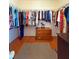 Well-organized walk-in closet offering extensive storage with shelving, hanging rods, and wood flooring at 3408 90Th N Ter, Pinellas Park, FL 33782