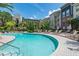 Sparkling community pool with ample lounge seating and manicured landscaping, set against a blue sky at 504 S Armenia Ave # 1338, Tampa, FL 33609