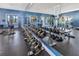 Community gym featuring dumbbell rack, weights, weight machines and mirrored walls at 5486 Summer Sunset Dr, Apollo Beach, FL 33572