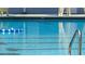 Community pool view with metal access ladder at 5561 24Th N Ter, St Petersburg, FL 33710