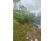 A grassy yard needs a lot of TLC at 5720 21St W St, Bradenton, FL 34207