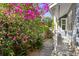 Charming exterior with a gravel walkway lined with lush landscaping leading to the home's entrance at 930 23Rd N Ave, St Petersburg, FL 33704