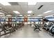 Community gym with treadmills, elliptical trainers, weight machines, and free weights at 10035 63Rd N Ave # 12, St Petersburg, FL 33708