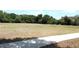 Open grassy community common area with sidewalks and trees for outdoor activities at 10906 Kenbrook Dr, Riverview, FL 33578