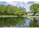 Scenic pond view showcasing lush trees and landscaping at 1400 Pine Glen Ln # B2, Tarpon Springs, FL 34688