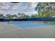 Outdoor tennis court with good lighting and professional surface in a park like setting at 18238 Clear Lake Dr, Lutz, FL 33548