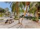 Community BBQ grilling and picnic area with mature palm trees at 19417 Gulf Blvd # E217, Indian Shores, FL 33785