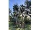 Expansive backyard featuring mature trees, lush landscaping, and a statue at 2810 Norwood Ln, Venice, FL 34292