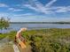 Backyard walkway leading to a waterfront dock with serene water views at 3484 Shore Dr, Safety Harbor, FL 34695
