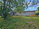 A spacious backyard with mature tree, showing the outdoor space of the property at 3714 E Ellicott St, Tampa, FL 33610