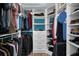 Walk-in closet featuring custom shelving, drawers and blue accent wall, providing ample storage at 5807 Cay Cove Ct, Tampa, FL 33615