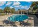 Community pool area with lounge chairs, palm trees, and a shaded pavilion at 597 Ozona Village Dr, Palm Harbor, FL 34683