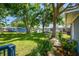 Green backyard with mature trees, lush grass, and fencing at 6207 Gulfport S Blvd, Gulfport, FL 33707