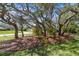 Lush landscaped front yard with mature trees providing shade and a mulch bed with unique plants at 6938 Coronet Dr, New Port Richey, FL 34655