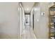 Hallway with gray walls leading to various rooms in the home at 105 Blue Alice Spring Ct, Ruskin, FL 33570