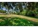 Large backyard with grassy area, mature trees providing shade, and lush greenery at 130 Woodcutter Ln, Palm Harbor, FL 34683