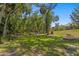 Spacious backyard with lush lawn and towering trees, offering a serene escape and ample space for activities at 15819 Dawson Ridge Dr, Tampa, FL 33647