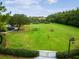 Expansive community green space, ideal for recreation and outdoor activities, surrounded by lush trees and manicured lawns at 20347 Chestnut Grove Dr, Tampa, FL 33647