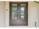Elegant double front door with decorative glass panels and hardware at 20347 Chestnut Grove Dr, Tampa, FL 33647