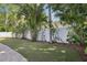 Expansive backyard featuring artificial turf, mature trees, and a white privacy fence at 206 Timberview Dr, Safety Harbor, FL 34695