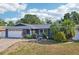 Charming single-story blue home featuring a well-manicured lawn, tropical landscaping, and a two-car garage at 206 Timberview Dr, Safety Harbor, FL 34695
