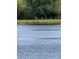 Water view with deer along the tree line adds natural beauty to the property at 218 Pesaro Dr, North Venice, FL 34275