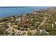 Aerial view of a home in a residential neighborhood, with mature trees and a glimpse of a body of water in the distance at 219 Park S Cir, Dunedin, FL 34698