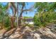 Secluded backyard with mature trees providing ample shade and privacy for outdoor enjoyment at 219 Park S Cir, Dunedin, FL 34698