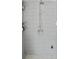 Outdoor shower with rainfall head, handheld sprayer, and toiletries at 222 N Clearview Ave, Tampa, FL 33609