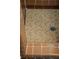 Shower with mosaic tile floor and bronze fixtures at 222 N Clearview Ave, Tampa, FL 33609