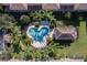 Aerial view of a heart-shaped community pool surrounded by lush landscaping and lounge chairs at 2527 Silverback Ct, Palm Harbor, FL 34684