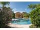 Community pool with clear blue water, a small bathhouse in the background, and surrounding palm trees at 2527 Silverback Ct, Palm Harbor, FL 34684