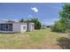Expansive backyard with grassy lawn, mature trees, and an additional storage shed under a bright blue sky at 35128 Dale Ave, Zephyrhills, FL 33541
