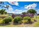 Inviting Zephyr Shores POA sign with manicured landscaping and clear community branding at 35128 Dale Ave, Zephyrhills, FL 33541