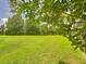 Expansive backyard with a lush green lawn surrounded by mature trees, providing a serene and private outdoor space at 4744 Wandering Way, Wesley Chapel, FL 33544