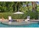 Backyard pool with in-pool seating under an umbrella surrounded by lush green landscaping at 6352 W Maclaurin Dr, Tampa, FL 33647