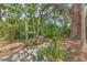 Secluded backyard with stone patio and mature landscaping, perfect for relaxation at 10119 Cliff Cir, Tampa, FL 33612
