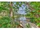 Scenic backyard view of the waterway and wooden pier through lush vegetation at 10119 Cliff Cir, Tampa, FL 33612