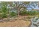 Expansive backyard with mature trees and lounge area for outdoor relaxation at 10119 Cliff Cir, Tampa, FL 33612