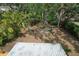 Aerial view of backyard with mature trees, multiple seating areas, and tropical foliage at 10119 Cliff Cir, Tampa, FL 33612